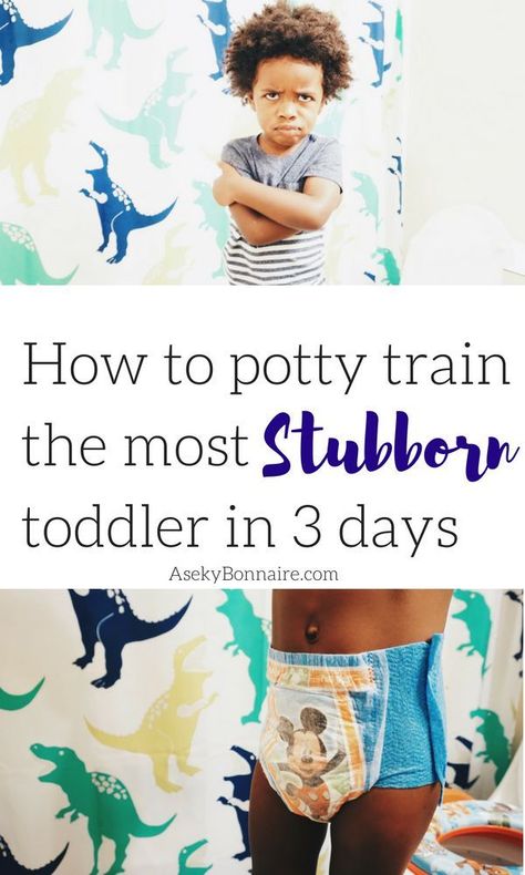 Potty Training Stubborn Boys, Training Meme, Potty Training Sticker Chart, Potty Training Schedule, Potty Training Stickers, Potty Training 101, Potty Training Help, Boys Potty, Potty Training Rewards