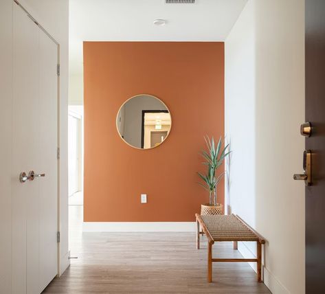 Terra Cotta Paint Color, Orange Accent Walls, Earthy Terracotta, Terracotta Paint, Ghost Ranch, Color Terracota, Accent Wall Colors, Room Wall Colors, Organic Compounds