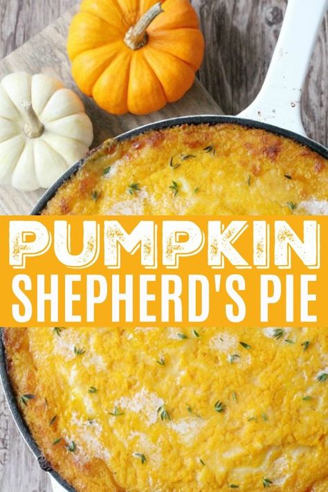 Pie Pumpkin Recipes, Pumpkin Recipes Dinner, Pumpkin Recipes Healthy, Savory Pumpkin Recipes, Pumpkin Recipes Easy, Pie Pumpkin, Shepherds Pie Recipe, Pumpkin Recipes Dessert, Dessert Easy