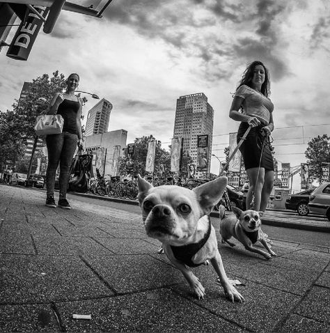 #ClippedOnIssuu from Street vol 3 Street Photography Model, Fisheye Photography, Wide Angle Photography, Street Photography Tips, Street Photography Portrait, Street Photography Urban, Street Photography People, City Streets Photography, Street Pictures