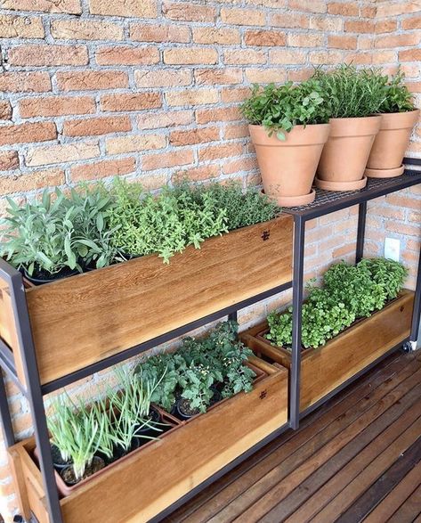 Balcony Garden Bed, Renter Friendly Vegetable Garden, Terrace Herb Garden, Balcony Food Garden, Hanging Herb Garden Outdoor, Huerta En Casa Ideas, Garden On Balcony, Apartment Vegetable Garden, Balcony Vegetable Garden