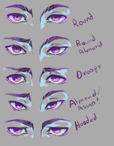 Eye Drawing Tutorials, Výtvarné Reference, 얼굴 그리기, Body Reference Drawing, Drawing Expressions, Anime Eye Drawing, Anatomy Drawing, Fete Anime, Anatomy Art