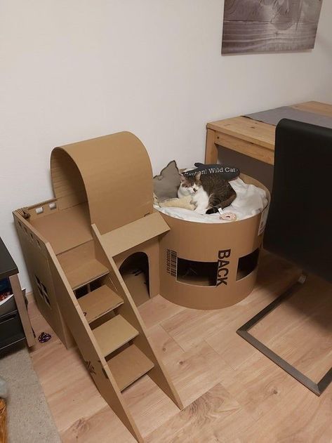 Cardboard Box Ideas For Cats, Cat House From Cardboard Boxes, Cardboard Box Houses For Cats, Cardboard Cat House Ideas, Cat Cardboard Box Ideas Diy, Diy Cat Stuff Cardboard, Diy Cat Cardboard Ideas, Cardboard Box Cat House Diy Ideas, Box Cat House Diy