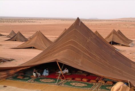 A Brief History of Antique Turkish Rugs by DLB Bedouin Tent, Timur Tengah, Vernacular Architecture, Earthship, Samar, Cane Corso, In The Desert, Modernism, Fantasy Landscape