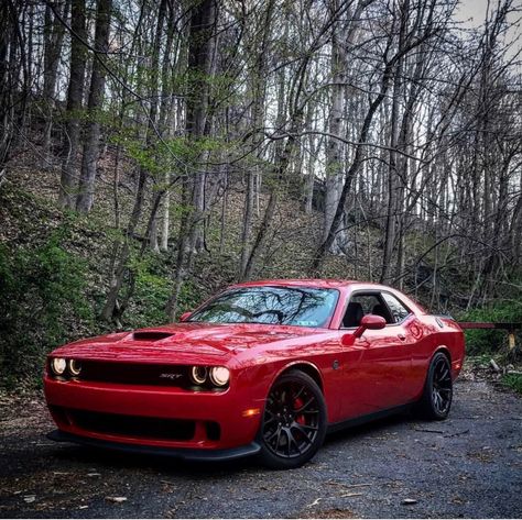 Dodge Challenger SRT Hellcat painted in Tor Red Photo taken by: @red_cat707 on Instagram Owned by: @red_cat707 on Instagram Red Charger Car, Red Challenger Dodge, Red Hellcat Challenger, Red Dodge Charger Aesthetic, Red Hellcat, Red Dodge Challenger, Red Dodge Charger, Red Challenger, Doge Challenger