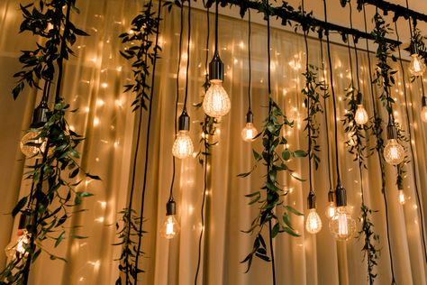 White Curtain Lights Backdrop, Wedding Backdrop Greenery Lights, Fairy Lights Wedding Reception Backdrop, Curtain Light Backdrop Wedding, Wedding Dance Floor Ceiling Decor, Twinkle Light Backdrop Wedding, Light Academia Birthday Party, Curtain Lights Backdrop, Palette Backdrop