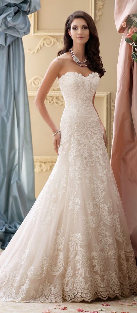 Best Wedding Dresses of 2014 - David Tutera for Mon Cheri Heart Neckline Wedding Dress, Sweet Heart Neckline Wedding Dress, Neck Line Wedding Dress, David Tutera Wedding Dresses, Bodice Wedding Dress, Sweet Heart Neckline, Vintage Lace Weddings, David Tutera, Davids Bridal Wedding Dresses