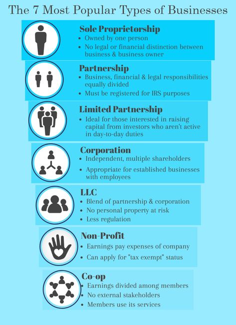 Types Of Companies, Types Of Entrepreneurs, Types Of Business Ownership, Business Structure Infographic, Types Of Business Ideas, Types Of Business Models, Types Of Businesses To Start, Principles Of Business, Business Principles