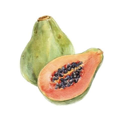 Papaya Fruit, Fruits Drawing, Art Tutorials Watercolor, Papaya Fruits, Watercolor Paintings For Beginners, Watercolor Fruit, Fruit Food, Cat Air, Oil Pastel Drawings