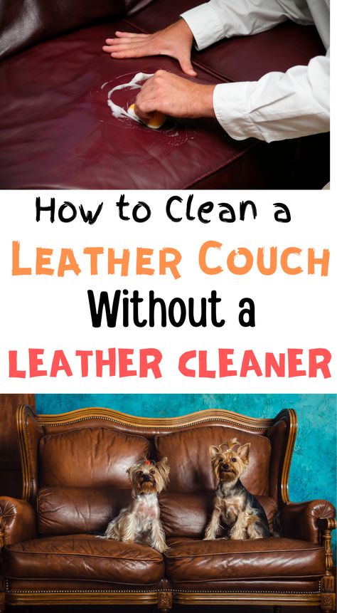 Just like other furniture, leather couches get dirty too. However, cleaning can be tricky if you don't want to ruin the material. These hacks will show you how to clean your leather couch with or without a leather cleaner to keep it looking fantastic for decades. #cleaningleathercouch#howtocleanleathercouch#leathercleaner#cleaningtips#hometips#cleaninghacks Clean Leather Couch, Clean Hacks, Homemade Toilet Cleaner, Clean Baking Pans, Cleaning Painted Walls, Deep Cleaning Tips, Leather Couch, Clean Dishwasher, Simple Life Hacks