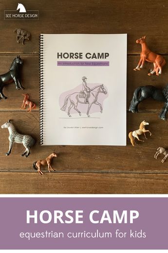 Horse Riding School Ideas, Horse Therapy Activities, Horse Camp Activities Ideas, Pony Camp Ideas, Horse Lesson Ideas, Pony Club Activities, Horse Summer Camp Ideas, Pony Camp Activities, Horse Camp Games