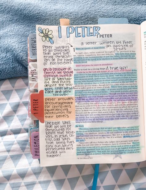 Niv Bible Study, Niv Bible Journaling, The Jesus Bible Niv, Bible Annotations, Bible Organization, Bible Highlighting, Bible Journal Notebooks, Personal Bible Study, Bible Journaling Ideas Drawings