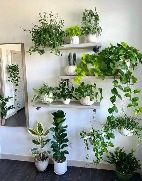 50+ Fabulous DIY Home Décor Ideas on a Budget - Dengarden Wall Plants Indoor, Living Wall Indoor, Deco Boheme Chic, Indoor Plant Wall, Tanaman Indoor, Hanging Plant Wall, Fabulous Diy, Decoration Plante, Bathroom Plants