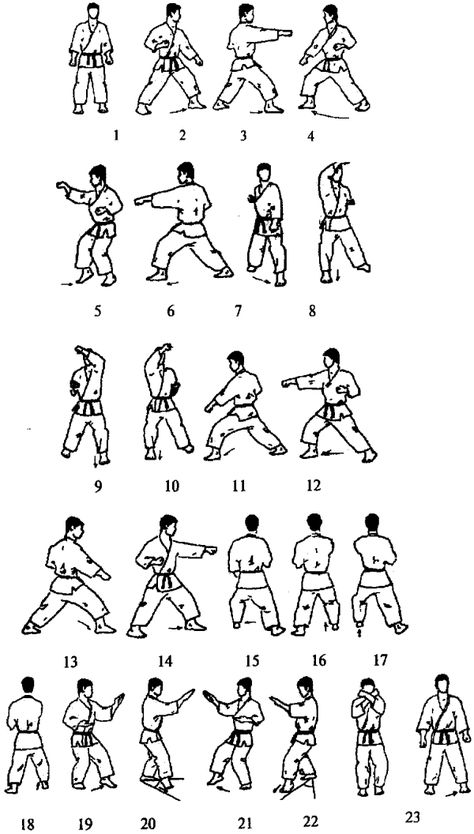 Kenpo Karate, Kawaii Pajamas, Shotokan Karate, Combat Training, Martial Arts Techniques, Hapkido, Martial Arts Training, Wing Chun, Aikido