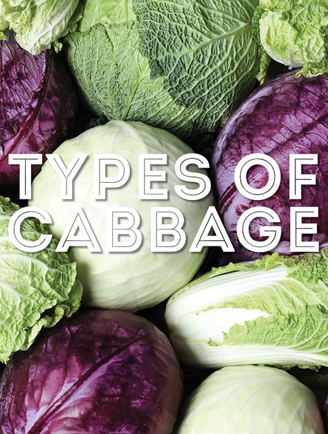 Whether you are looking to munch or to make kimchi, in this post we will cover 23 types of cabbage that can be used for cooking, eating, or fermenting! From A to Z, we will guide you through the origin, flavor, and uses of all different kinds of cabbage. Make Kimchi, Cabbage Varieties, Types Of Cabbage, Choy Sum, Savoy Cabbage, Meatless Main Dishes, Cabbage Leaves, Chinese Cabbage, Cabbages