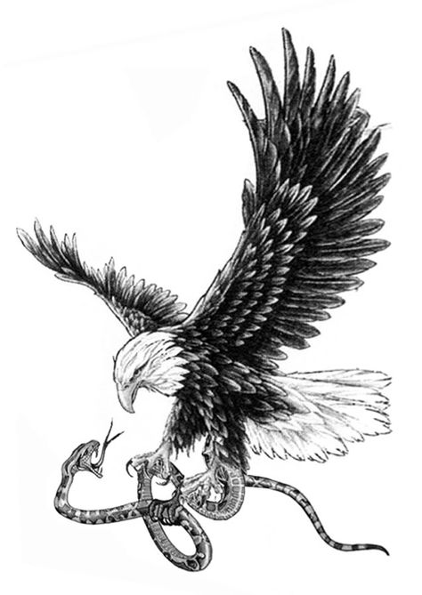 Love the black and white, I don't like the snake though, instead an eagle holding something else. Eagle Carrying Snake Tattoo, Diving Eagle Tattoo, Eagle Catching Snake Tattoo, Serpent Eagle Tattoo, Eagle Eating Snake Tattoo, Eagle Bicep Tattoo, Egale Drawing Tattoo, Egal Tattoo, Egale Drawing