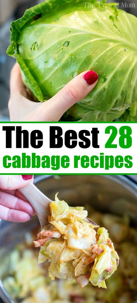 Easy cabbage recipes you will love. #cabbage Cooked Cabbage Recipes, Best Cabbage Recipe, Cabbage Recipes Southern, Easy Cabbage Recipes, Cabbage Dishes, Cabbage Side Dish, Cabbage Recipes Healthy, New York Sour, Cabbage Casserole Recipes