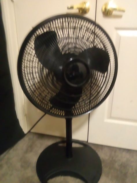 Aesthetic Fan, Cute Black Shirts, Standing Fans, Stand Fan, Black Shirts, Fan Picture, Floor Fan, Table Fan, Character Design