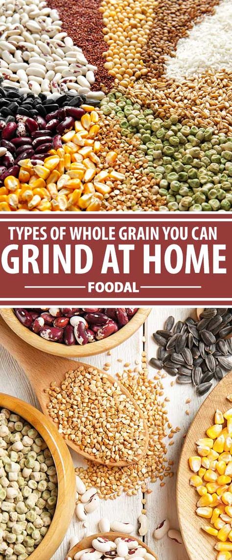 Growing Wheat For Flour, Growing Grains At Home, Home Milled Flour Recipes, Bean Flour Recipes, Flour Milling, How To Make Flour, Whole Grain Cereals, Homemade Pantry, Whole Grain Flour