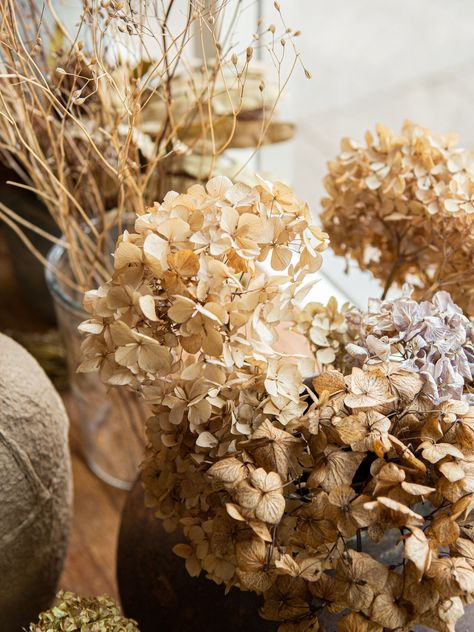 Mountain Project, Wabi Sabi Design, Birmingham City Centre, Creative Area, Dried Hydrangeas, Beautiful Flowers Images, Treatment Room, Handmade Cosmetics, Creative Living