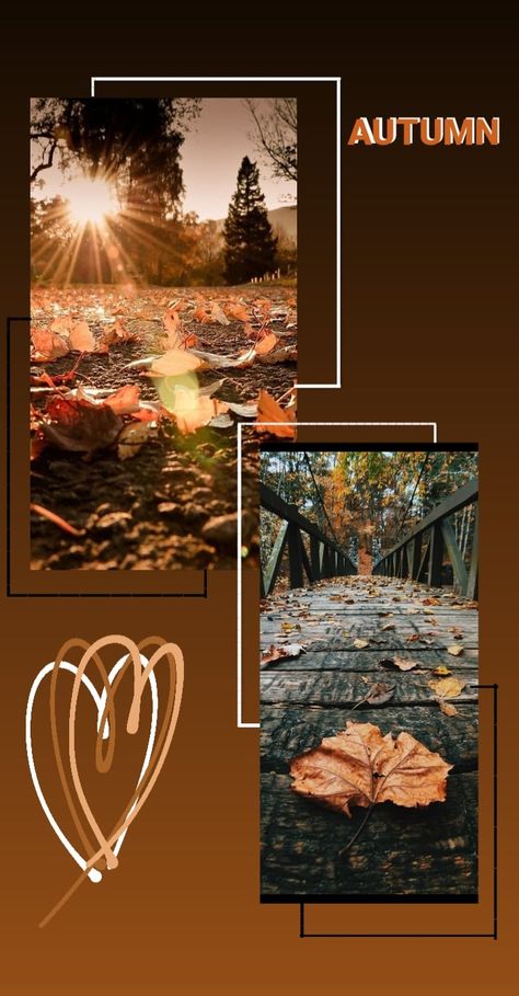 Instagram story idea about AUTUMN PHOTOGRAPHY Autumn Snapchat Stories, Thanksgiving Stories Instagram, October Instagram Story Ideas, Autum Insta Story Ideas, Fall Story Ideas Instagram, Fall Stories Instagram, Autumn Posts Instagram, October Instagram Post Ideas, Autumn Aesthetic Instagram Story