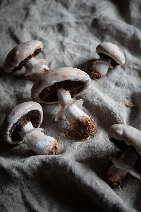 How To Make Edible Mushrooms For Cakes, Mushroom Shaped Food, Witchy Food Ideas, Edible Pinecones, Twigg Studios, Meringue Mushrooms, Globe Cake, Tree Stump Cake, Kebab Sticks