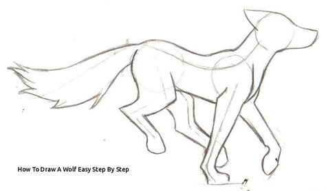 How To Draw A Wolf Easy Step - Wolf Drawing Easy Step By Step Wolf Sketch, Siluete Umane, Eye Base, Desen Anime, 강아지 그림, Wolf Drawing, Animale Rare, Gambar Figur, Easy Drawings Sketches