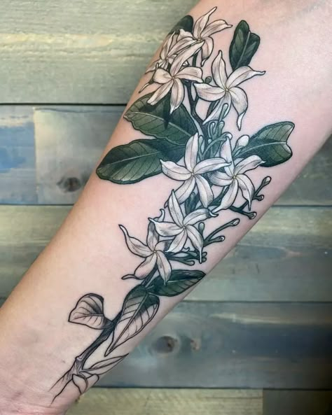 Jasmine Flower Tattoo Color, Night Jasmine Flower Tattoo, Star Jasmine Flower Tattoo, Arabian Jasmine Tattoo, Stephanotis Tattoo, Jazmine Tattoos, Night Blooming Jasmine Tattoo, Star Jasmine Tattoo, Sampaguita Flower Tattoo Philippines