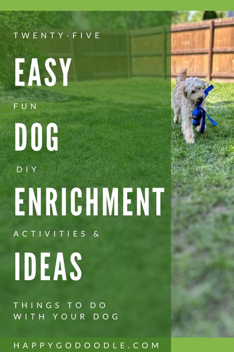 Dog running with a dog toy and the title 25 Easy, Fun Dog Enrichment Activities & Ideas: Things To Do With Your Dog Easy Dog Enrichment Ideas, Dog Enrichment Ideas, Dog Enrichment Toys, Canine Enrichment, Ideas For Fun, Dog Enrichment, Dog Top, Still Love Her, Smart Dog