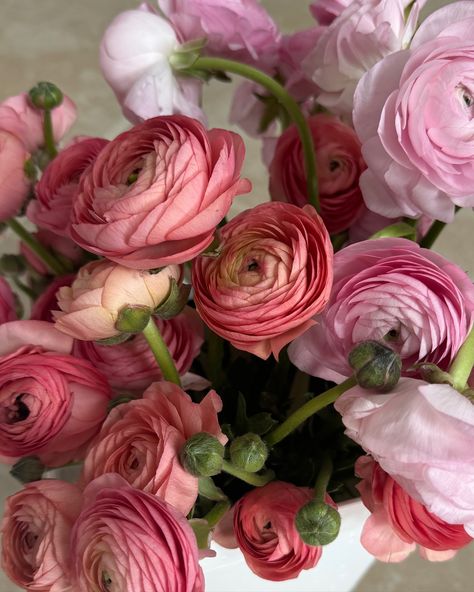 my absolute faves 😍 #ranunculus Ranunculus Peony Dahlia Bouquet, Ranunculus And Peonies, Renuculas Flower, Renuculas Bouquet, Ranunculus Garden, Ranunculus Wedding, Ranunculus Bouquet, Ranunculus Flower, Wedding April