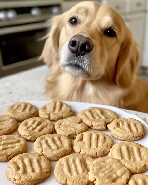 Dog Oatmeal Cookies, Healthy Dog Cookies, Oatmeal Cookies For Dogs, Iced Dog Cookies, Doggie Cookies Recipe, Dog Peanut Butter Cookies, Dog Cookies Recipe Peanut Butter, Peanut Butter Cookies For Dogs, Doggie Cookies