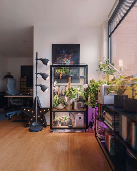 Bedroom Plant Storage, Plant Grow Light Setup, Living Room Grow Lights, Growing Plants Indoors With Grow Lights, Plant Shelves With Lights, Ikea Grow Light, Indoor Plant Grow Lights, Plants Lighting Indoor, Diy Plant Grow Light