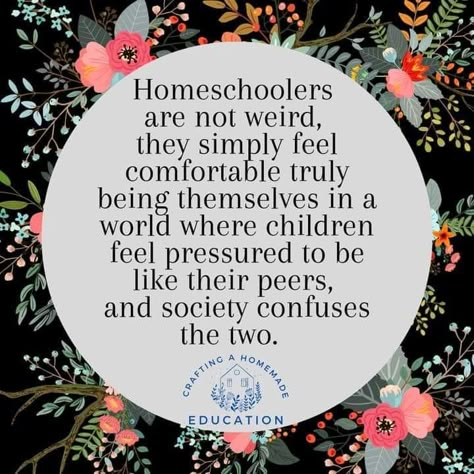 Homeschool Quotes Inspiration, Homeschool Inspiration Quotes, Unschooling Quotes, Homeschool Mom Quotes, Homeschool Humor, Homeschool Quotes, Homeschool Education, Homeschool Inspiration, Homeschool Encouragement