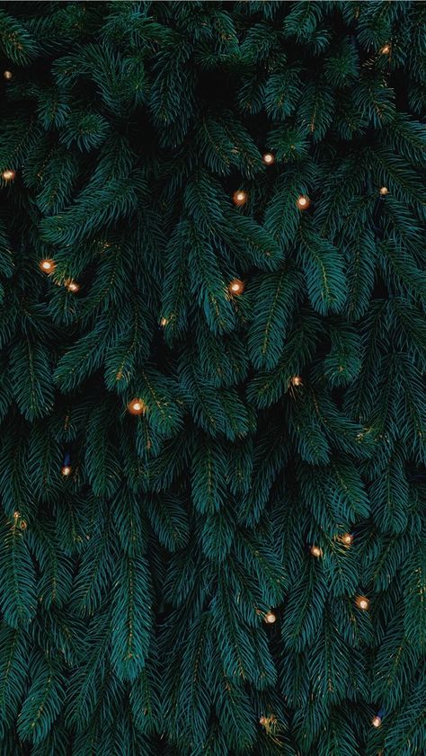 #christmas #aesthetic #wallpaper #iphone Merry Christmas Wallpaper Laptop, Christmas Hd Wallpaper, Nativity Images, Christmas Tree Wallpaper Iphone, Backgrounds Green, Christmas Wallpaper Hd, Tree Wallpaper Iphone, Christmas Lights Wallpaper, Christmas Wallpaper Iphone