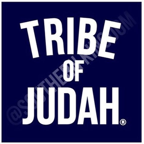 Tribe of Judah! Hebrew Wedding, The Tribe Of Judah, Hebrew Education, Bible Dictionary, Hebrew Israelite, Tribe Of Judah, Bible History, History Quotes, The Tribe