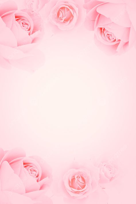 Pink Rose Tanabata Valentines Day Background, Romantic, Beautiful, Poster Background Image for Free Download Valentines Day Border, Pink Roses Background, Valentine's Day Poster, Decoration Vitrine, Chinese Valentine's Day, Balloon Background, Hari Valentine, Frame Floral, Pink Background Images