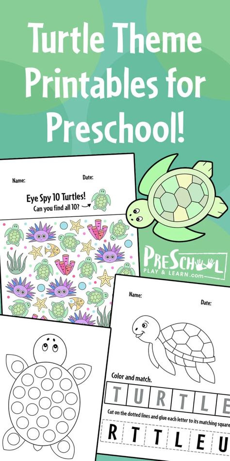 Tortoise Activities For Preschool, Turtle Projects For Preschoolers, Turtle Craft For Preschool, Turtle Craft Kindergarten, Turtle Worksheets Preschool, Turtle Activities For Kindergarten, Turtle Day Activities, Sea Turtle Preschool, Turtle Activities For Toddlers