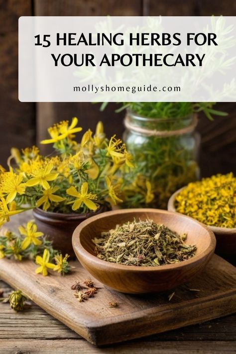 Herbs As Medicine, Holistic Herbs Herbal Medicine, Herb Medicine Recipes, Apothecary For Beginners, Herbs For Pain Relief, Herb Room, Herbs For Beginners, Herbalism For Beginners, Herbs For Healing