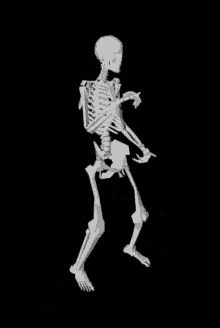 Dancing Skeleton Gif, Cute Halloween Gif, Verknipte Humor, Foto Bawah Air, Dance Gif, Halloween Eve, Skeleton Dance, Foto Gif, Happy Gif