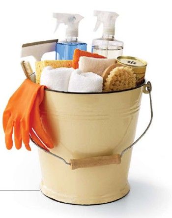 Cleaning bucket Product Organizer, Small Kitchen Makeovers, Cleaning Bucket, Pantry Inspiration, Ideas Small Kitchen, Cleaning Buckets, Kitchen Makeovers, Cheap Trick, Small Kitchen Decor