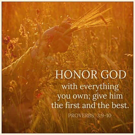 Honor God with Everything Honor God, Daily Verses, Inspirational Scripture, Inspirational Bible Verses, Bible Encouragement, Scripture Quotes, Christian Faith, Bible Scriptures, The Words