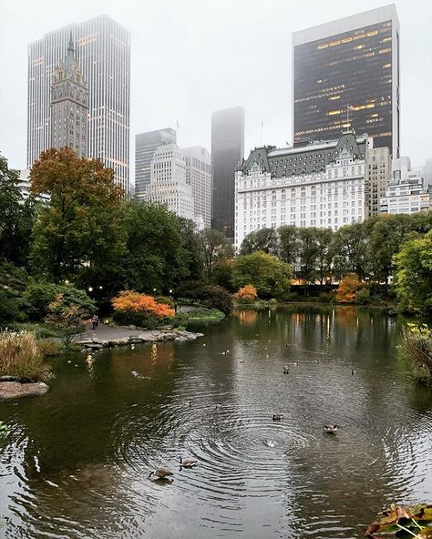 New York City on Instagram: “Happy Friday 🙋🏻‍♀️🍂🍃 took a stroll through Central Park this morning and the colors are really coming in nicely 🍁🌿🍂 #FallforNYC #ILoveNY” Central Park View, London Dreams, Park View, Empire State Of Mind, Urban Aesthetic, Nyc Life, New York Life, City That Never Sleeps, Dream City