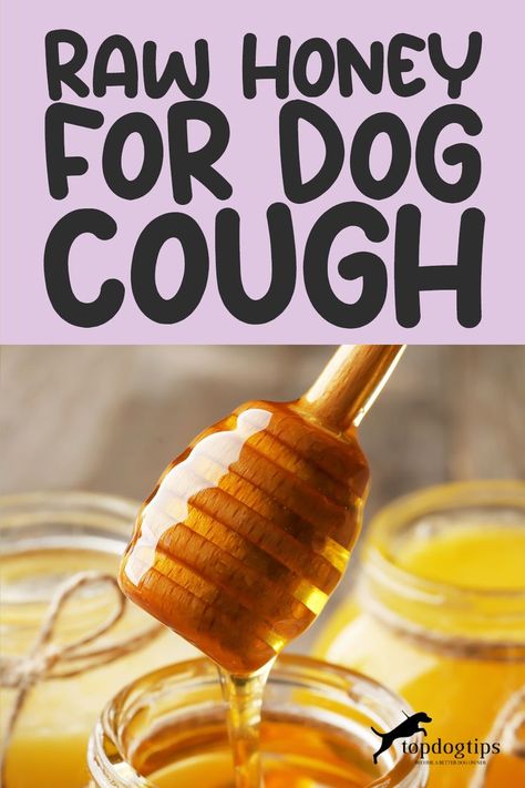 Raw Honey For Dog Cough Dog Cough, Baby Cold Remedies, Dog Coughing, Healthy Low Carb Snacks, Dog Wellness, Dog Health Tips, Cold Sores Remedies, Best Low Carb Recipes, Natural Health Care