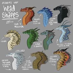 550 Wings of fire ideas in 2022 | wings of fire, wings of fire dragons, fire art Drawing Tips And Tricks, Fire Wings, Local Cryptid, Fire Ideas, Dragon Poses, Dragon Anatomy, Types Of Dragons, Fire Drawing, Face Anatomy