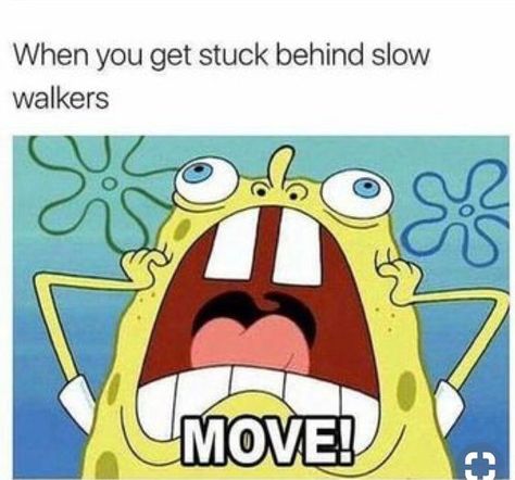 Relatable Memes So True, Humor Spongebob, Middle School Memes, Meme Spongebob, Funny Spongebob Memes, Memes In Real Life, 9gag Funny, Spongebob Funny, Spongebob Memes