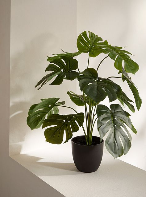 This synthetic plant is the piece you need to create a small abundance of greenery thanks to its large heart-shaped leaves worthy of lush tropical forests. It will beautifully complement the greenest decor!- High-quality plastic- Malleable metallic wire inside to rearrange the leaves as needed- Refined black plastic pot (5" at opening)- 24" (61 cm) tallPlease note that online-only items are shipped directly from the supplier. Consequently, they are delivered separately from regular Simons products and may arrive within a different time frame. Additionally, the packaging may look different than what you normally receive from Simons. Black Room With Plants, Black And Green Room, Plante Aesthetic, Studio Plants, Artist Apartment, Room Decor Green, Plants Bedroom, Plants Monstera, Plant Library