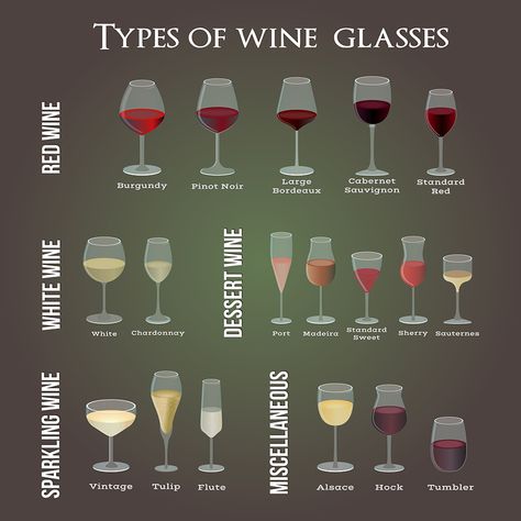 Types Of Wine Glasses, Sparkling Wine Glasses, Types Of Red Wine, Wine Basics, Wine Chart, Sauvignon Blanc Wine, Wine Glassware, Different Types Of Wine, Sherry Wine