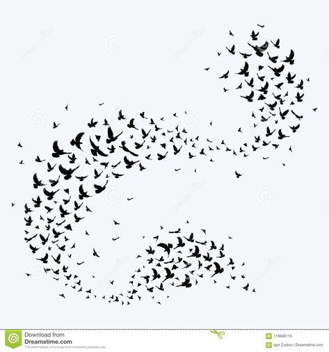 Flock Birds Tattoo, Murmuration Tattoo, Flock Of Birds Tattoo, Pigeons Illustration, Birds Flocking, Black Crow Tattoos, Flocks Of Birds, Pigeon Tattoo, Crow Tattoos