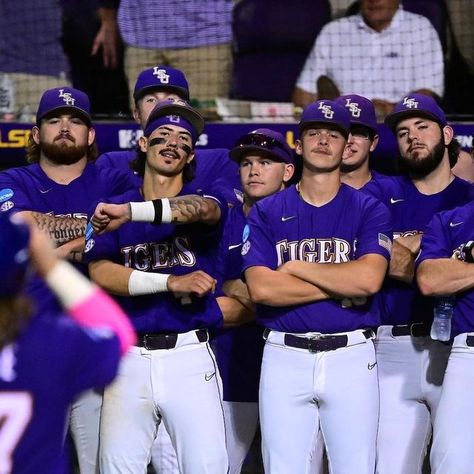 Lsu Tigers Baseball, Lsu University, Lsu College, Lsu Baseball, Baseball Wallpaper, Baseball Pictures, Geaux Tigers, Tigers Baseball, Lsu Tigers