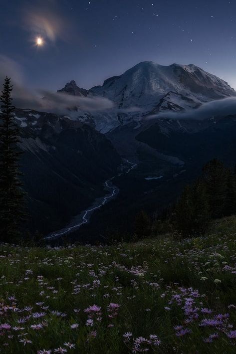 Night In Nature, Foggy Forest Mountain, Mountains At Night Aesthetic, Forest Sky View, Foggy Aesthetic Hill, Night Time Mountains, Top Of Mountain Aesthetic, Nature Aesthetic Mountains, Calming Images Aesthetic